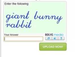 Free download Lolcaptcha free photo or picture to be edited with GIMP online image editor