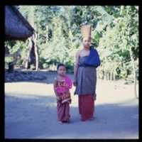 Free download Lombok 4 5 A free photo or picture to be edited with GIMP online image editor