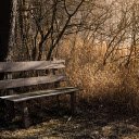 Lonely chair  screen for extension Chrome web store in OffiDocs Chromium