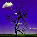 Lonely Тree  screen for extension Chrome web store in OffiDocs Chromium