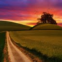 Lonely road and tree  screen for extension Chrome web store in OffiDocs Chromium