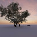 lonely tree  screen for extension Chrome web store in OffiDocs Chromium