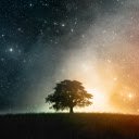 Lone Tree  screen for extension Chrome web store in OffiDocs Chromium