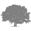 Lone Tree  screen for extension Chrome web store in OffiDocs Chromium