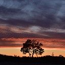 Lone Tree at Sunset with Power Lines  screen for extension Chrome web store in OffiDocs Chromium