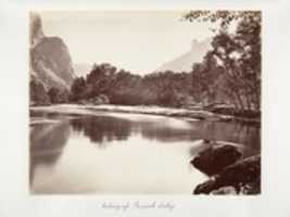 Free download Looking Up Yosemite Valley free photo or picture to be edited with GIMP online image editor