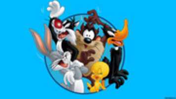 Unduh gratis looneytunes foto atau gambar gratis untuk diedit dengan editor gambar online GIMP