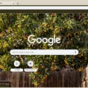 Loquat Tree  screen for extension Chrome web store in OffiDocs Chromium