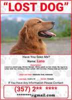 Free download Lost Pet Flyer free photo or picture to be edited with GIMP online image editor