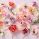 Lots of brilliant flowers  screen for extension Chrome web store in OffiDocs Chromium