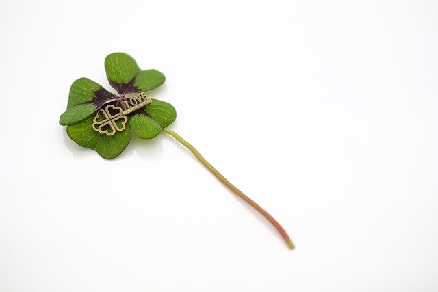 قم بتنزيل صورة Love Four Leaf Clover Luck Lucky مجانًا مجانًا ليتم تحريرها باستخدام محرر الصور المجاني عبر الإنترنت GIMP