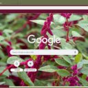 Love Lies Bleeding  screen for extension Chrome web store in OffiDocs Chromium