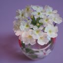 Lovely flower vase  screen for extension Chrome web store in OffiDocs Chromium