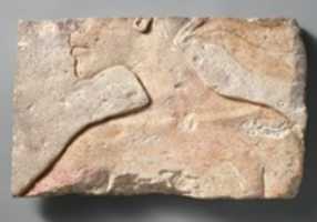 Free download Lower Face and Shoulders of Akhenaten free photo or picture to be edited with GIMP online image editor