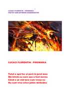 Free download LUCACI FLORENTIN - PIROMANIA free photo or picture to be edited with GIMP online image editor