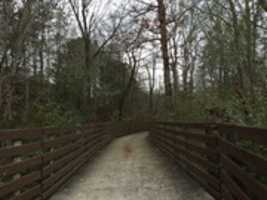 Free download Lucille Creek Trail Bridge in Fall free photo or picture to be edited with GIMP online image editor