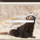 Lung  screen for extension Chrome web store in OffiDocs Chromium