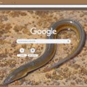 Luon  screen for extension Chrome web store in OffiDocs Chromium
