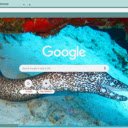 Luon bien  screen for extension Chrome web store in OffiDocs Chromium