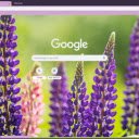 Lupine  screen for extension Chrome web store in OffiDocs Chromium