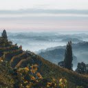 Lush Green Grape Hills  screen for extension Chrome web store in OffiDocs Chromium