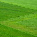 Lush green grass  screen for extension Chrome web store in OffiDocs Chromium