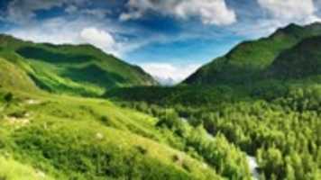 Free download lush-green free photo or picture to be edited with GIMP online image editor