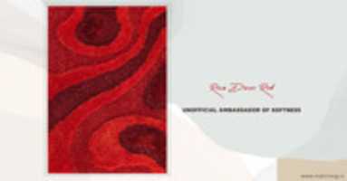 Free download Luxury Soft And Silky Shaggy Tiramisu Area Rug Carpet free photo or picture to be edited with GIMP online image editor