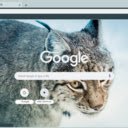 Lynx  screen for extension Chrome web store in OffiDocs Chromium