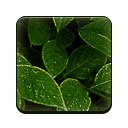 Lystäčko  screen for extension Chrome web store in OffiDocs Chromium