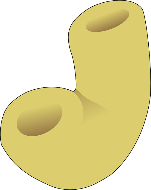 Download grátis Macaroni Noodle Pasta - Gráfico vetorial gratuito no Pixabay ilustração gratuita para ser editado com o editor de imagens on-line gratuito do GIMP