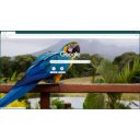 Macaw  screen for extension Chrome web store in OffiDocs Chromium