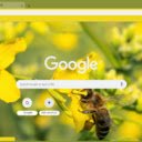 Macro Honey Bee on Flower  screen for extension Chrome web store in OffiDocs Chromium