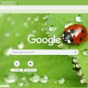 Macro Ladybug on Leaf  screen for extension Chrome web store in OffiDocs Chromium