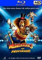 Free download MADAGASCAR 03 free photo or picture to be edited with GIMP online image editor