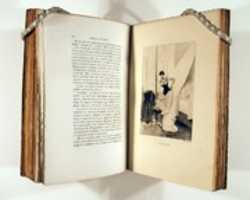Free download Madame Bovary free photo or picture to be edited with GIMP online image editor