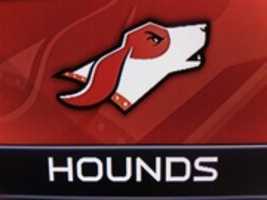 Free download Madden NFL 16 Memphis Hounds Team Logo free photo or picture to be edited with GIMP online image editor