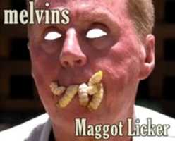 Free download Maggotl Licker free photo or picture to be edited with GIMP online image editor