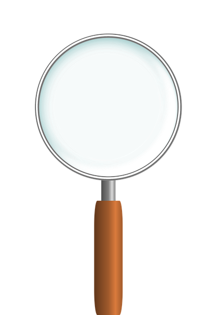 Free download Magnifier Magnifying Glass - Free vector graphic on Pixabay free illustration to be edited with GIMP free online image editor