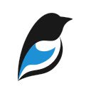 Magpie SEO Audit Tools  screen for extension Chrome web store in OffiDocs Chromium