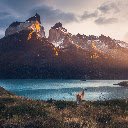 Majestic Mountains and Grazing Guanaco at Sunset  screen for extension Chrome web store in OffiDocs Chromium