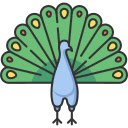 Majestic Peacock Display  screen for extension Chrome web store in OffiDocs Chromium