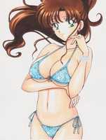Free download Makoto Kino In a Bikini free photo or picture to be edited with GIMP online image editor