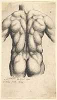 Free download Male Torso , after Leonardo free photo or picture to be edited with GIMP online image editor