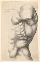 Free download Male Torso from the Side free photo or picture to be edited with GIMP online image editor