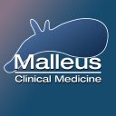 Malleus Extension  screen for extension Chrome web store in OffiDocs Chromium