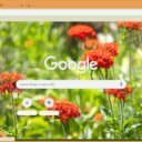 Maltese Cross  screen for extension Chrome web store in OffiDocs Chromium