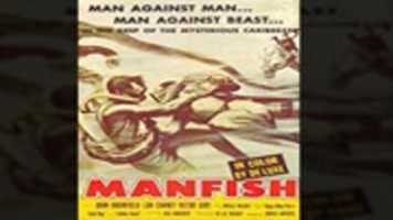 Free download manfish free photo or picture to be edited with GIMP online image editor