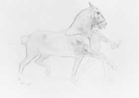 Free download Man Leading Horse free photo or picture to be edited with GIMP online image editor