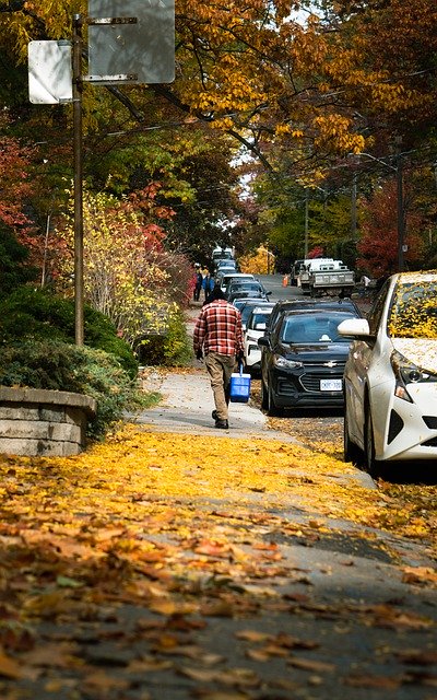 Free download man walking fall sidewalk cars free picture to be edited with GIMP free online image editor